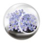 Tiny Terrarium – Fabulous Forget-Me-Not